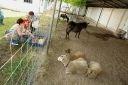Filename=018.JPG
Filesize=833KiB
Dimensions=1024x683
Date added=Jul 17, 2012 018.JPG